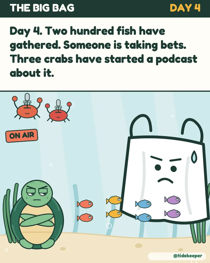 Day 4: two hundred fish gather and three crabs start a podcast.