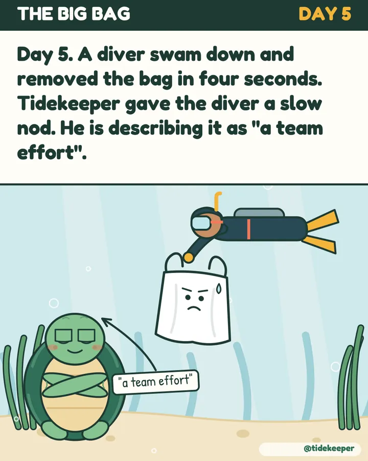 Day 5: a diver removes the bag in four seconds. He calls it a team effort.