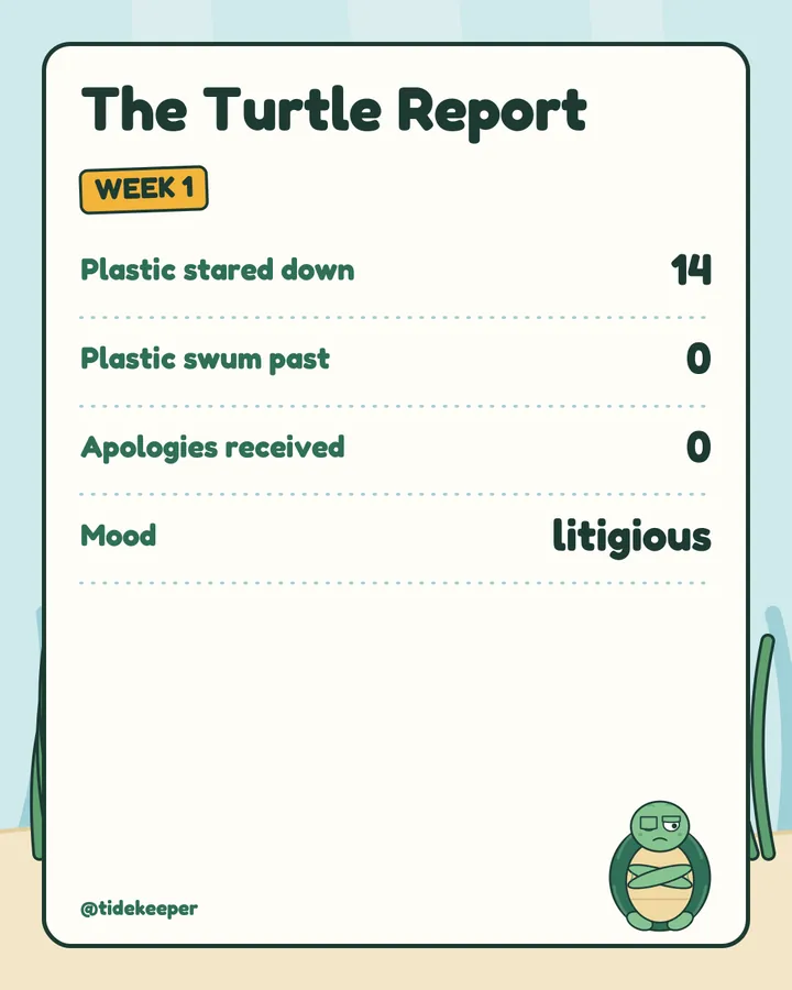 Turtle Report week 1: 14 stared down, 0 swum past, mood litigious