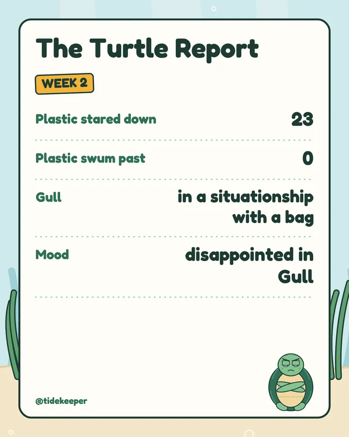 Turtle Report week 2: 23 stared down, 0 swum past, mood disappointed in Gull