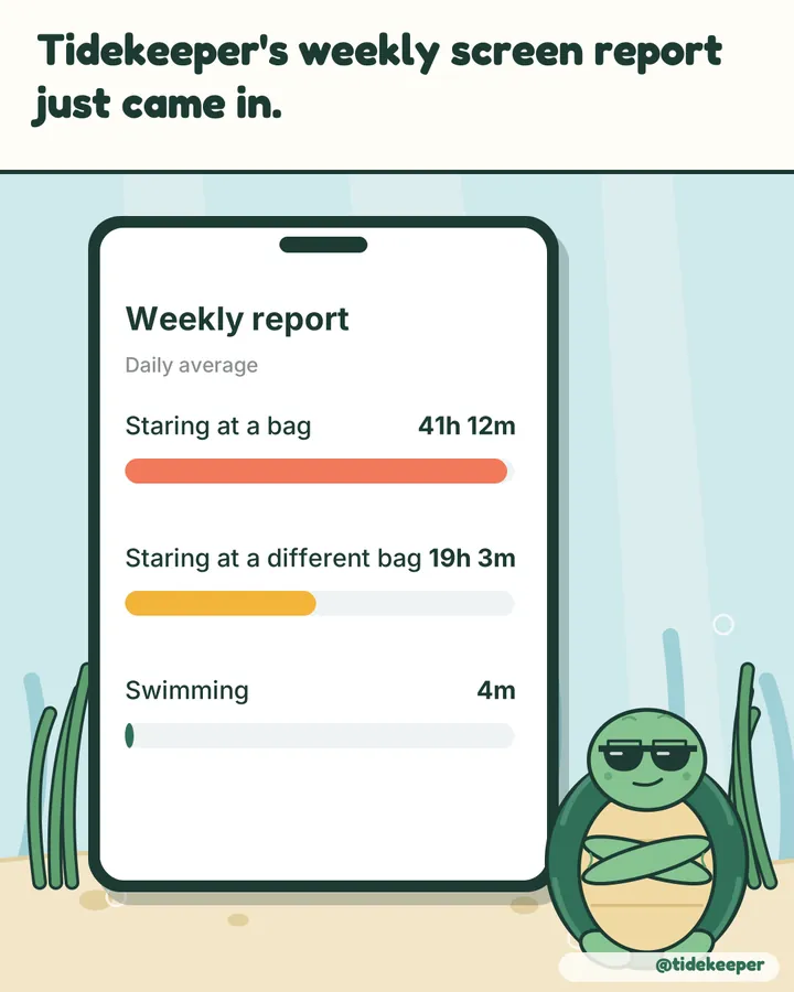 His weekly screen report: 41 hours staring at a bag.