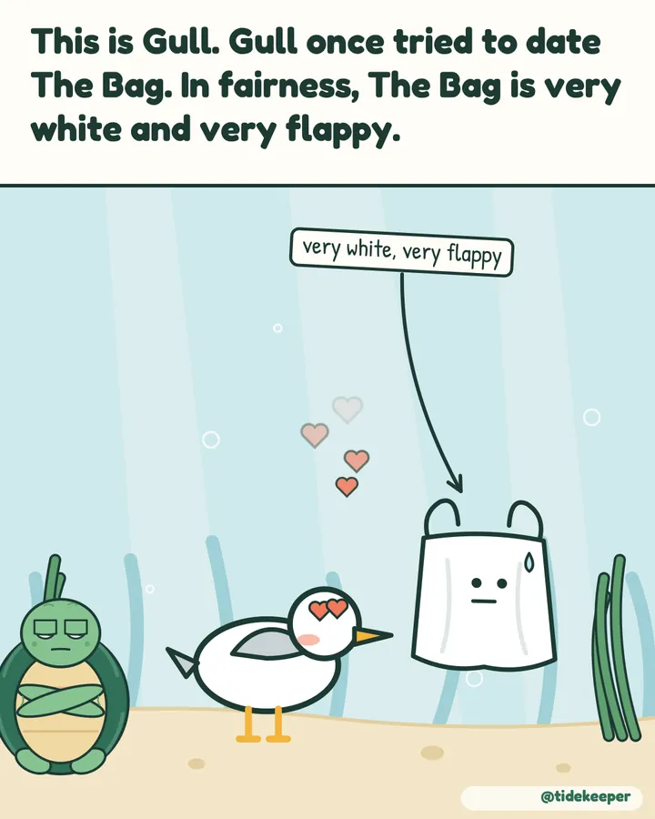 Gull once tried to date The Bag.