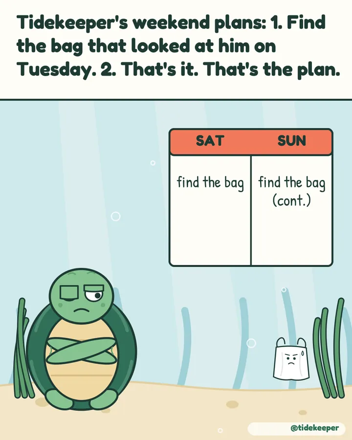 Weekend plans: find the bag that looked at him on Tuesday.